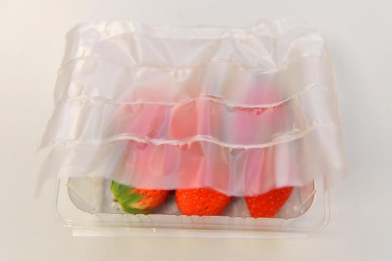 可生物降解的柔性食品包裝_http://www.8sdai.cn_新聞資訊_第2張